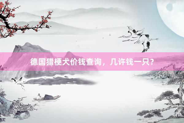 德国猎梗犬价钱查询，几许钱一只？