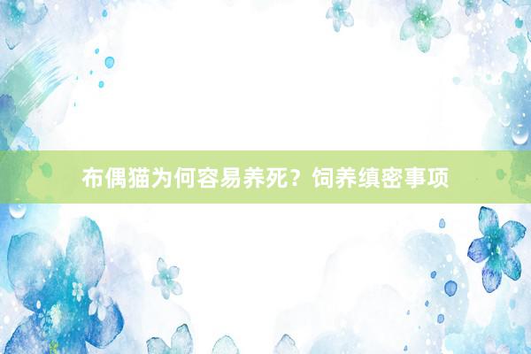 布偶猫为何容易养死？饲养缜密事项